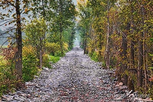 Rocky Road_21090-4.jpg - Photographed near Smiths Falls, Ontario, Canada.